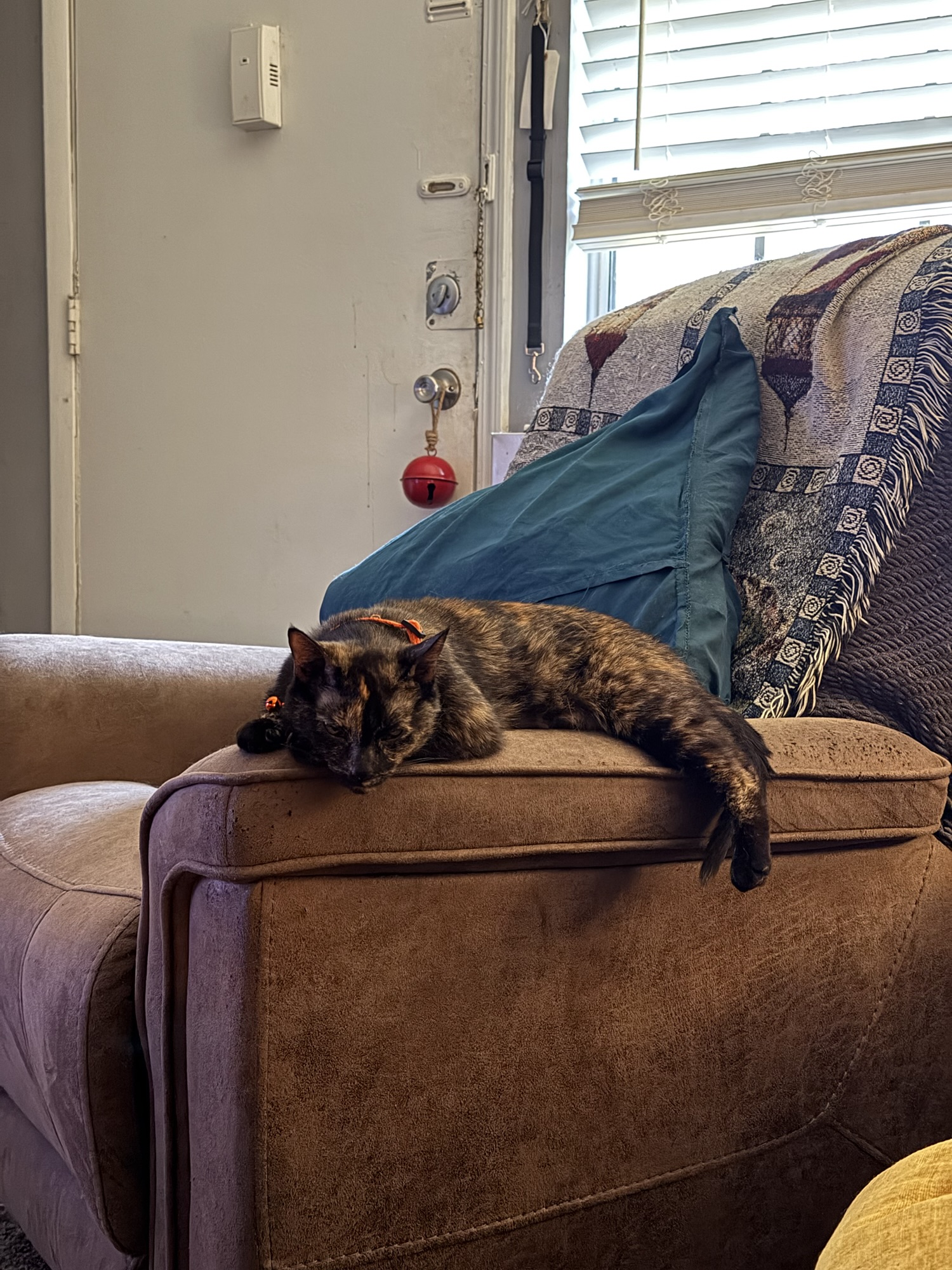 june in photos