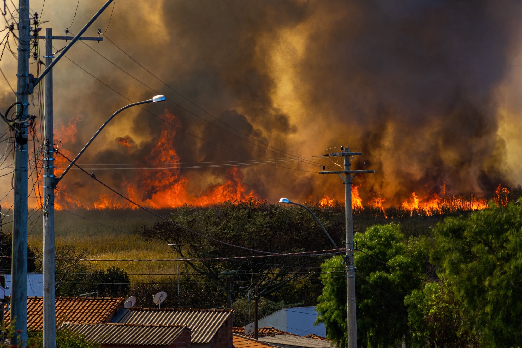 A blazing fire in a landscape. Photo by Alexandre P. Junior on Pexels