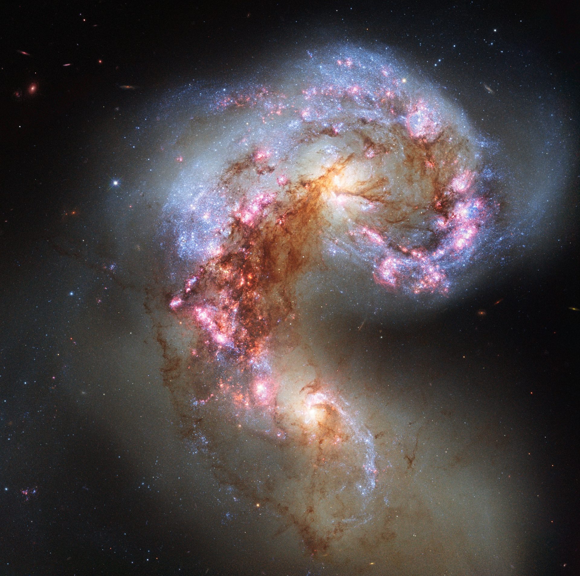Hubble Space Telescope image of the colliding Antennae Galaxies glowing with pink and blue cosmic starbursts