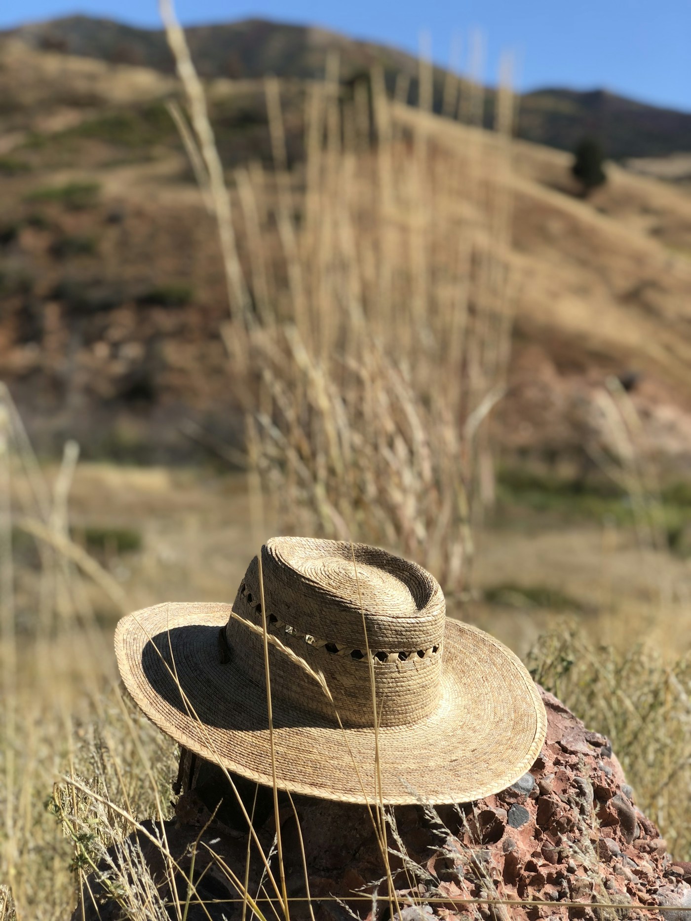A brown cowboy hat with a curved brim